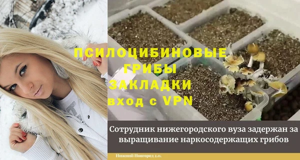 прущая мука Арсеньев