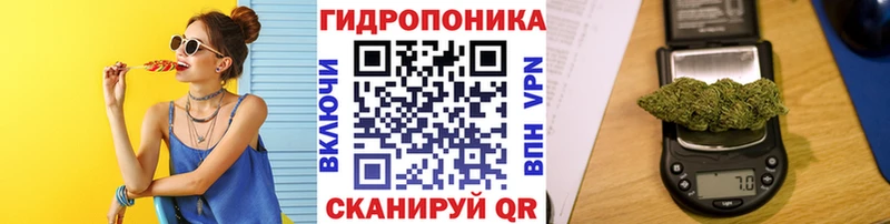 Бошки марихуана семена  Купить  Сусуман 
